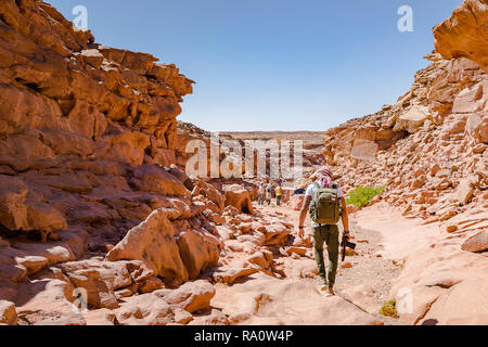 Coloured Canyon in Nuweiba Dahab Ägypten. Coloured Canyon ist ein Felsbrocken auf der Sinai Halbinsel. Es ist ein Labyrinth von Felsen, einige von ihnen über 40 haben Stockfoto