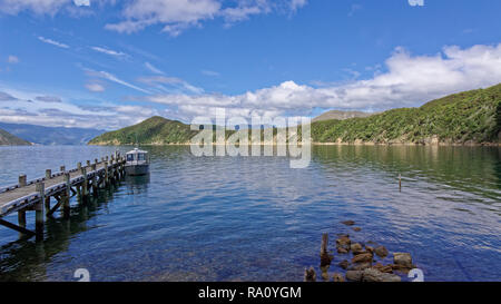 An der Bootsanlegestelle an der Insel Maud, Marlborough Sounds, Neuseeland Stockfoto