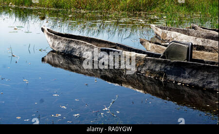 Closeup makoro dugout Kanus in noch Wasser spiegelt, Okavango Delta, Botswana, Afrika Stockfoto