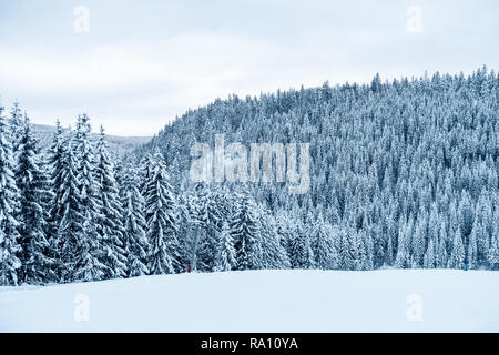 Verschneite Landschaft auf den Skipisten in Bayern im Winter. Stockfoto