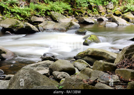 Die Bode in der Nähe von Thale im Harz Stockfoto