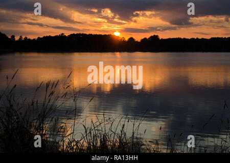 Die Sonne über Bluff Lake in der Sam-D. Hamilton Noxubee Wildlife Refuge in Brooksville, Florida. Stockfoto