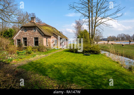 Der frühe Frühling Blick auf Giethoorn, Niederlande, ein traditionelles holländisches Dorf mit Kanälen und urige reetgedeckte Bauernhäuser. Stockfoto