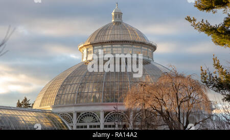 Sonnenuntergang über dem Enid A. Haupt Wintergarten, New York Botanical Garden Stockfoto
