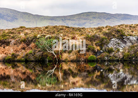 Loughros Point, County Donegal, Irland. 29. Dezember 2018. Rotbraun, Grün und Gold Farben sind in einem See auf wilde Land bog wider. Credit: Richard Wayman/Alamy leben Nachrichten Stockfoto