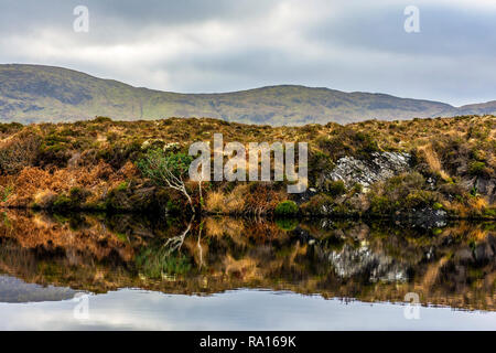 Loughros Point, County Donegal, Irland. 29. Dezember 2018. Rotbraun, Grün und Gold Farben sind in einem See auf wilde Land bog wider. Credit: Richard Wayman/Alamy leben Nachrichten Stockfoto