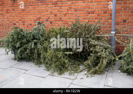 Weihnachtsbäume sind auf dem Bürgersteig im Norden von London nur vier Tage nach Weihnachten gesehen. Stockfoto