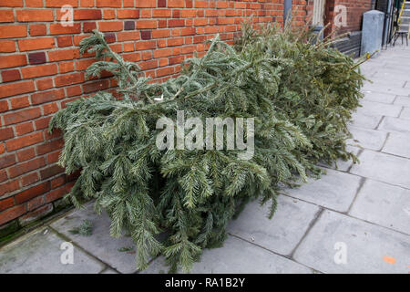 Weihnachtsbäume sind auf dem Bürgersteig im Norden von London nur vier Tage nach Weihnachten gesehen. Stockfoto