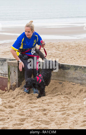 Bournemouth, Dorset, Großbritannien. Zum 30. Dezember 2018. Die Teilnehmer nehmen an den Strand Rennen, rennen die Gezeiten, Ebbe Strand entlang der wunderschönen Küste von Bournemouth Strand in Richtung Sandbänke Strand laufen. Läufer laufen die 5k- oder 10k Rennen an der Küste entlang und über die buhnen, bevor die Flut - gute Übung Nach den Exzessen der Weihnachten kommt! Credit: Carolyn Jenkins/Alamy leben Nachrichten Stockfoto