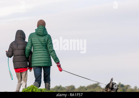 Wells-next-the-Sea, Großbritannien. 30. Dezember 2018. Menschen geniessen Sie einen sonnigen Nachmittag Spaziergang zwischen Weihnachten und das neue Jahr an der beliebten North Norfolk Stadt Wells-next-the-Sea. UrbanImages/Alamy Leben Nachrichten. Stockfoto