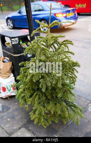 London, Großbritannien. 30 Dez, 2018. Weihnachtsbaum ist auf einem Gehsteig im Norden von London nur fünf Tage nach Weihnachten entleert. Credit: Dinendra Haria/Alamy leben Nachrichten Stockfoto