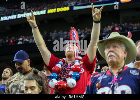 Houston, TX, USA. 30 Dez, 2018. Ein Houston Texans Ventilator cheers im dritten Quartal gegen die Jacksonville Jaguars an NRG Stadion in Houston, TX. John Glaser/CSM/Alamy leben Nachrichten Stockfoto