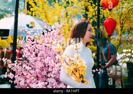 Frauen tragen Vietnam tradition Ao Dai Bilder auf der Straße mit gelben Blüten apricot in Tet Urlaub zu nehmen. Vietnam Neujahrsfest im Frühling Stockfoto