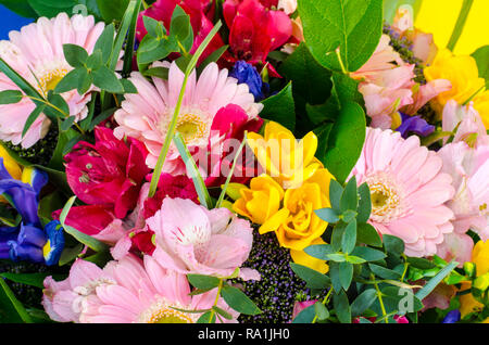 Mischung aus Sommer Blumen im Strauß auf hellen Hintergrund. Studio Foto Stockfoto