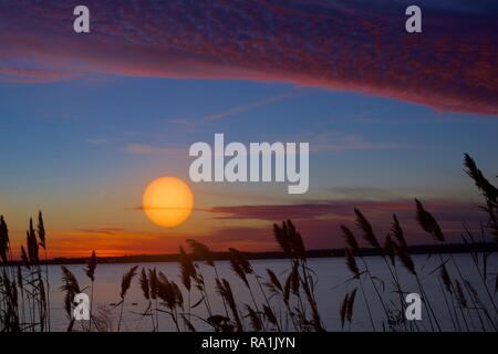 Die perfekte Nachmittag am Paradies Stockfoto