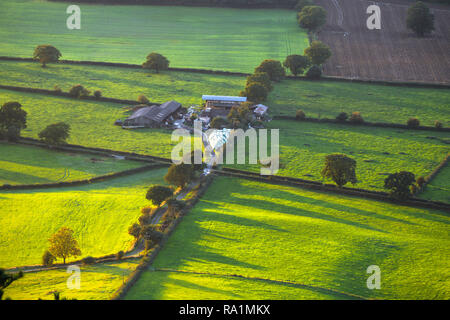 Luftaufnahme der Britischen Landschaft Felder im warmen Abendlicht Stockfoto