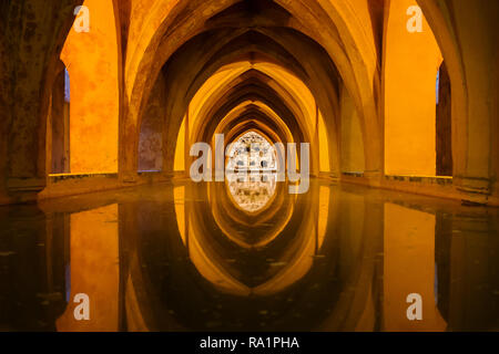 Spanien, Andalusien, Sevilla, Real Alcazar (Royal Alcazar von Sevilla) Innenraum, Bäder von Dona Maria de Padilla Regenwassertank, UNESCO Weltkulturerbe Stockfoto