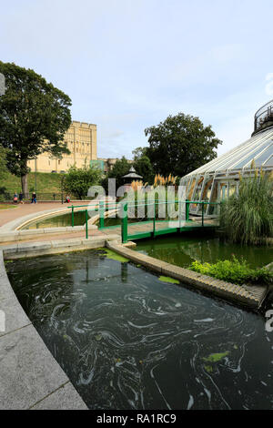 Anzeigen von Norwich Castle Gardens, Norwich, Norfolk County, England, Großbritannien Stockfoto