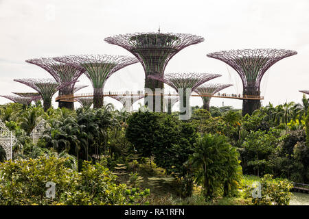 Singapur - Dezember 2018: Luftaufnahme des botanischen Garten, Gärten an der Bucht, in Singapur. Stockfoto