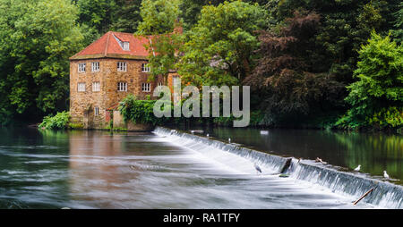 Stehend auf der West Bank des schnell fließenden Fluss Wear Schauen über das Wehr zu alten Walkmühle, Spitzen über die gewachsene Bäume. Stockfoto