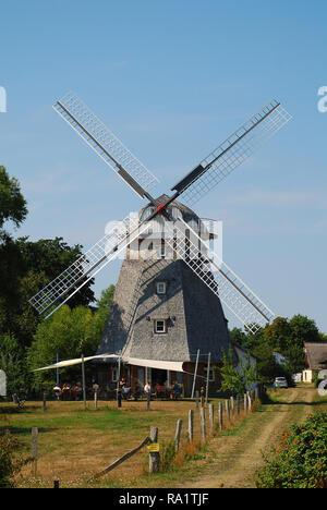 Windmühle bei Ahrenshoop, Darrs, Deutschland. Ahrenshoop ist eine Gemeinde in Mecklenburg-Vorpommern auf der Halbinsel Fischland-Darß-Zingst der Stockfoto