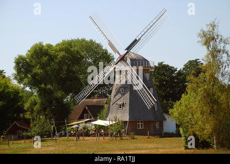 Windmühle bei Ahrenshoop, Darrs, Deutschland. Ahrenshoop ist eine Gemeinde in Mecklenburg-Vorpommern auf der Halbinsel Fischland-Darß-Zingst der Stockfoto