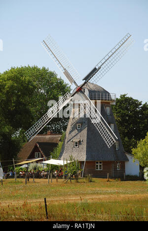 Windmühle bei Ahrenshoop, Darrs, Deutschland. Ahrenshoop ist eine Gemeinde in Mecklenburg-Vorpommern auf der Halbinsel Fischland-Darß-Zingst der Stockfoto