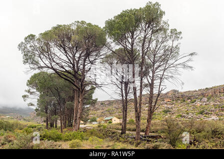 Cederberge, SÜDAFRIKA, 27. AUGUST 2018: Die Kliphuis Campingplatz am Pakhuis Pass in der cederberg Berge der Provinz Western Cape. Ein Fahrzeug Stockfoto