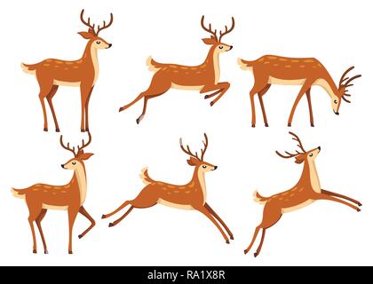 Brown Deer Icon Set. Rehe laufen und springen. Huftiere wiederkäuenden Säugern. Cartoon animal Design. Cute Hirsche mit Geweihen. Flache Vector Illustration auf w isoliert Stock Vektor