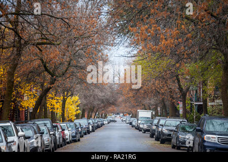 OTTAWA, Kanada - 6. NOVEMBER 2018: Typisch Nordamerikanische Wohnstraße im Herbst in Le Plateau, Montreal, Quebec, während ein herbstnachmittag, wi Stockfoto