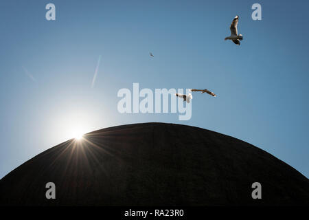 Drei Möwen über einem Silhouettiert Kuppel mit der Sonne über den Kamm der Kuppel brechen fliegen Stockfoto