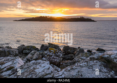 Ardwall Insel von Carrick Ufer, Dumfries and Galloway, Schottland Stockfoto