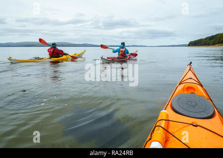 Kajak um die Insel Bute, Firth of Clyde, Argyll and Bute, Schottland Stockfoto