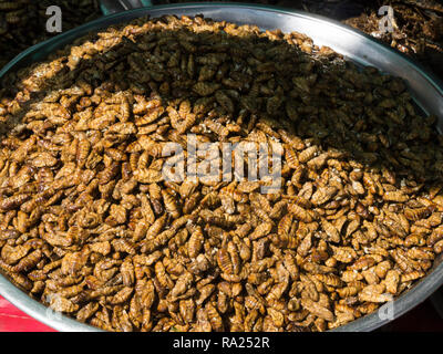 Platte von frittierte Seidenraupe Maden zum Verkauf in Skuon Town Market international bekannte Markt Kambodscha Asien auch als Spider Dorf bekannt Stockfoto