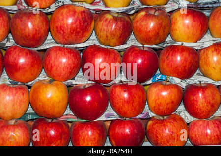 Frische und organische Äpfel Stockfoto