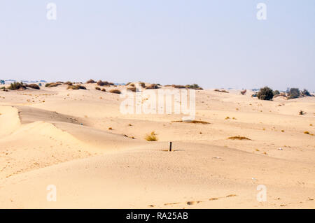 Sanddünen und Buchsen im Thal Wüste Stockfoto