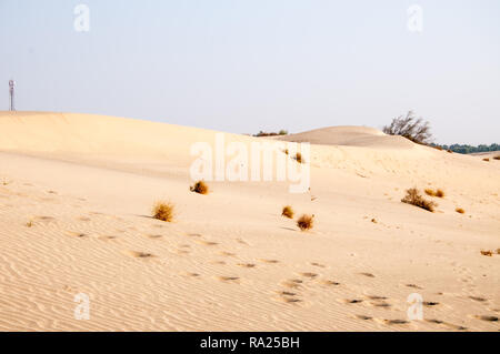 Sanddünen in Thal Wüste Stockfoto