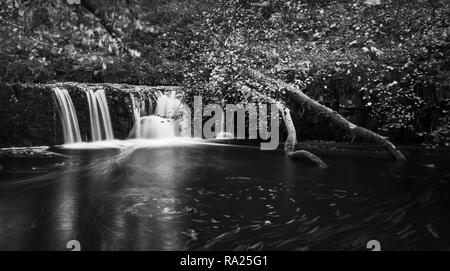 Eine herbstliche lange Belichtung stehen am Ufer des Flusses von Eller Beck in Richtung Wasserfall suchen Spaziergang Mühle Foss in Goathland Yorkshire Stockfoto