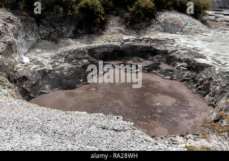 Waiotapu Thermal Wonderland kochenden Schlamm - Neuseeland Stockfoto