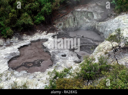 Waiotapu Thermal Wonderland kochenden Schlamm - Neuseeland Stockfoto