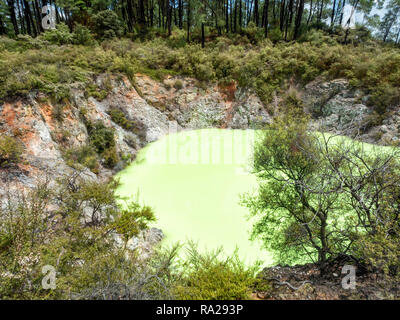 Die waiotapu Thermal Wonderland Teufel - Neuseeland Stockfoto