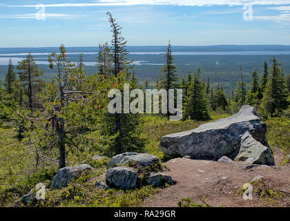 Sommer Landschaft mit Fichten in der Wüste Riisitunturi Nationalpark, einem Berg in Lappland in Finnland. Große Steine auf der Vorder- und Stockfoto