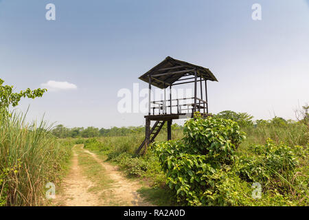 Hohes Ansehen und ruhende Plattform in der Mitte des Chitwan National Park, Kasara Chitwan, Nepal, Asien Stockfoto