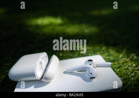 Drahtlose Kopfhörer und powerbank liegen auf dem Gras Stockfoto