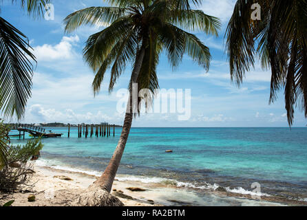 Türkisfarbenes Wasser und Palmen. Karibik Reiseziel: Johnny Cay in der Nähe von San Andrés, Kolumbien. Okt 2018 Stockfoto