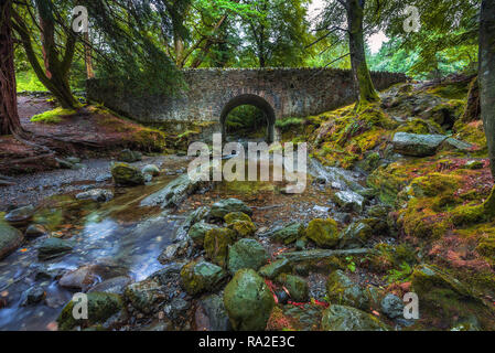 Dirt Road in der Tollymore Forest Park Stockfoto