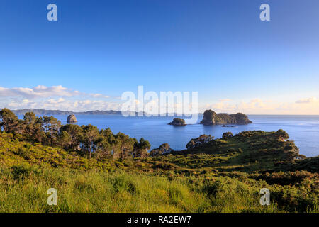 Blick vom Weg zur Cathedral Cove mit Blick auf das Meer mit den Inseln Motorua, Poikeke und Motueka. Stockfoto