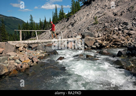 WA 15619-00 ... WASHINGTON - Wanderer über eine Brücke über die Gabel auf der Emmons Moränenweg im White River Tal des Mount Rainier Natio anmelden Stockfoto