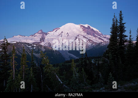 . WASHINGTON - Mount Rainier gesehen in Dämmert früh Licht aus dem Sauerteig Trail in der Nähe der Basis der Dege Peak in den Sonnenaufgang in der Gegend von Mount Rainier. Stockfoto