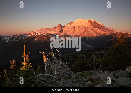 WA 15631-00 ... WASHINGTON - Bunte sunrise auf Mount Rainier von Dege Peak mit Blick auf den Sonnenaufgang und White River Gegend von Mount Rainier National Park Stockfoto